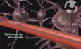 Effects of Cardiac Arrest on the Brain