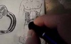 Thoracoabdominal Wall - Video Lecture - Part 5