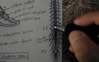 Spinal Cord - Neuroanatomy Lectures - 2