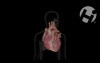 Normal Cardiac Physiology