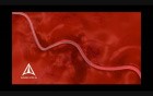 Uterine Fibroid Embolization - 3D Medical Animation
