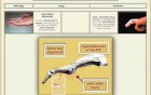 Common Hand Injuries: Part-1