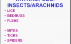 Infectious Diseases - MSP - 8g