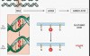 Genetic Disorders - MSP - 5a
