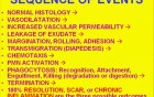 Inflammation - MSP - 2a