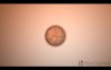 Mitosis