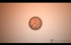 Mitosis