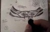 Thoracoabdominal Wall - Video Lecture - Part 7