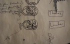 Sensory Pathways - Neuroanatomy Lectures - 35