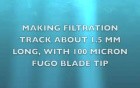 Filtration channel in anridia