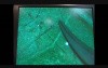 Microsurgery Tutorials. Lesson 2: The Basics. Taking Your Skills Further