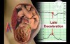 The Fetal Brain-Fetal Heart Relationship