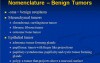 Neoplasia - MSP - 7a