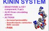Inflammation - MSP - 2c