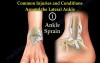 Anatomy And Injuries Of The Lateral Ankle 