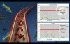 Effects of Uterine Hyperstimulation on Cerebral Circulation