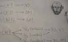 Cranial nerve functions - Neuroanatomy Lectures - 29