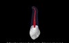 Maxillary Canine - Root Canal Anatomy