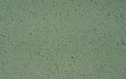 Microbiological Testing Of Feces - Lactobacillus Spp
