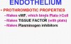 Hemodynamic Disorders, Thromboembolic Disease and Shock - MSP - 4e