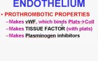 Hemodynamic Disorders, Thromboembolic Disease and Shock - MSP - 4e