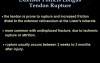 Rupture Of The Extensor Pollicus Longus Tendon 