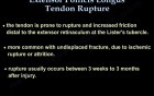 Rupture Of The Extensor Pollicus Longus Tendon 