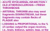 Hemodynamic Disorders, Thromboembolic Disease and Shock - MSP - 4h