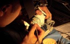 Diagnostic Waxup Part 13