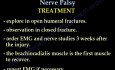 Radial Nerve Palsy - Recovery after Injury - Part 2
