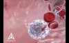 Sanuwave - Dermapace 3D Medical Device Animation 