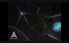 Neurotransmission - 3D Medical Animation