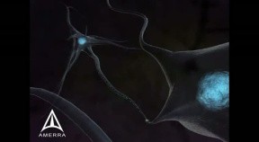Neurotransmission - 3D Medical Animation