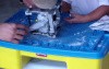 Mounting Casts On Articulator - Fakebow (Not Facebow!)