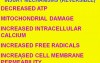Cellular Adaptations, Cell Injury and Cell Death - MSP - 1c