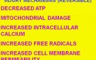 Cellular Adaptations, Cell Injury and Cell Death - MSP - 1c