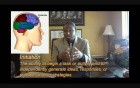 Executive Functional Disorders: A Brief Discussion