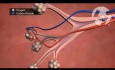 Normal Lung Anatomy and Function
