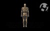 Normal Back Mechanics
