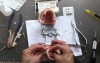 Molar Intrusion - Table Top How To - Part 2/2