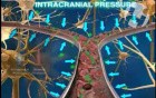 Normal Delivery of Oxygen to the Fetal Brain