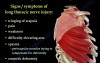 Winging of the Scapula and Treatment Methods