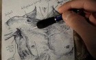 Thoracoabdominal Wall - Video Lecture - Part 1