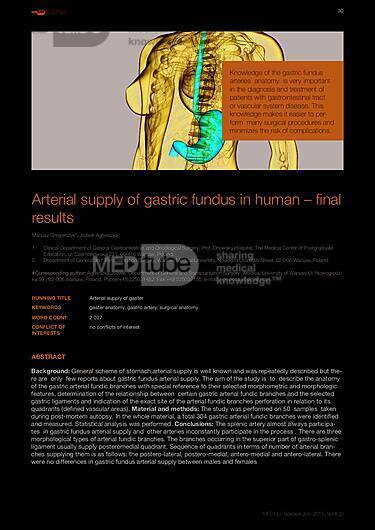 MEDtube Science 2015 - Arterial supply of gastric fundus in human – final results