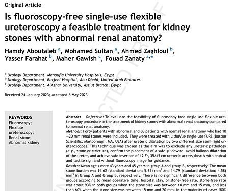 Is Fluoroscopy-free Single-use Flexible Ureteroscopy a Feasible Treatment for Kidney Stones with Abnormal Renal Anatomy?