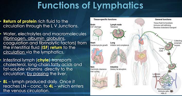 Lymphangitis & Lymphedema