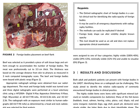 Oxford Radiographic Chart of Foreign Bodies