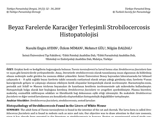 Histopathology of Strobilocercosis