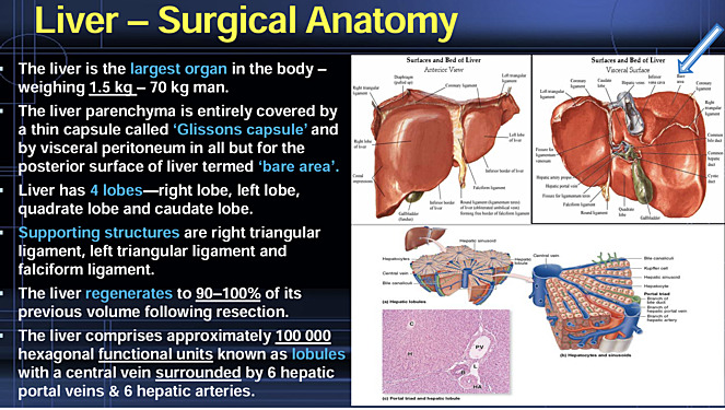 Liver - Abscess & Tumour