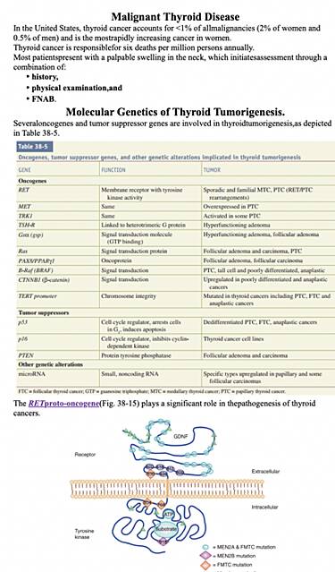 Thyroid Neoplasm